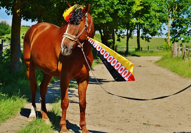 活中的良師 活中的良師