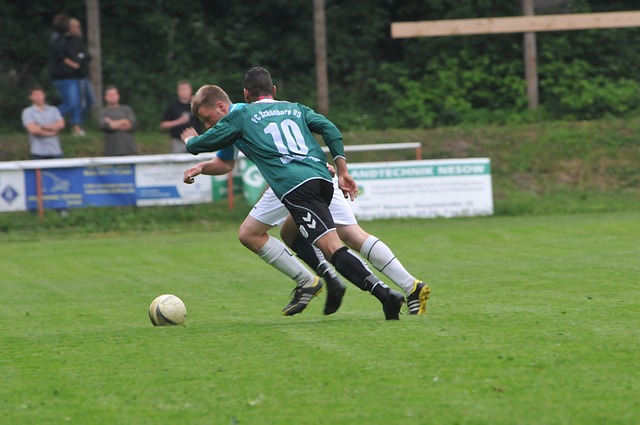 举国上下对 举国上下对