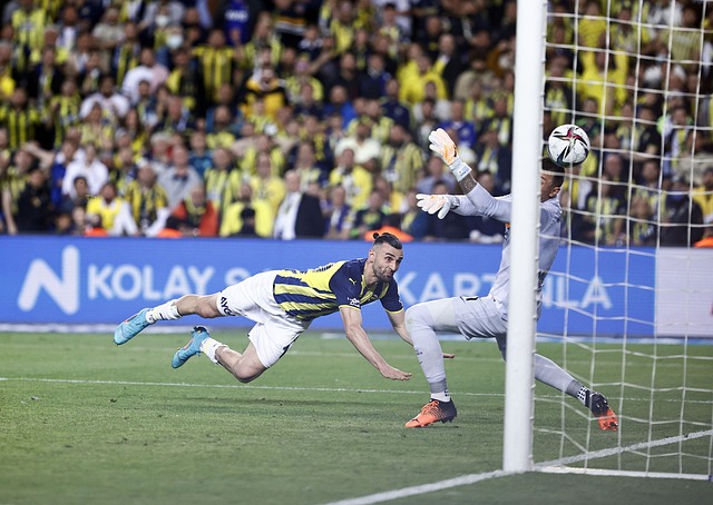 哥的个人秀 哥的个人秀