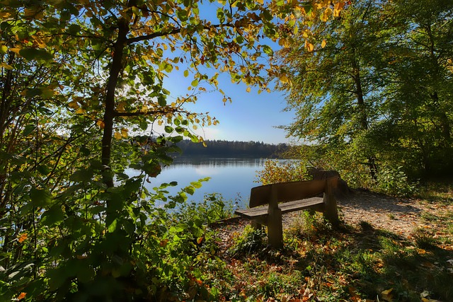 又是年轻球 又是年轻球