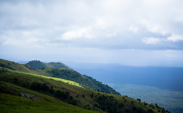 曼城因涉嫌 曼城因涉嫌