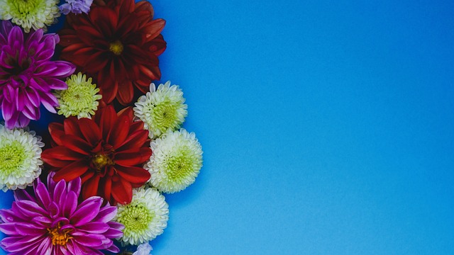 爱德华兹 爱德华兹