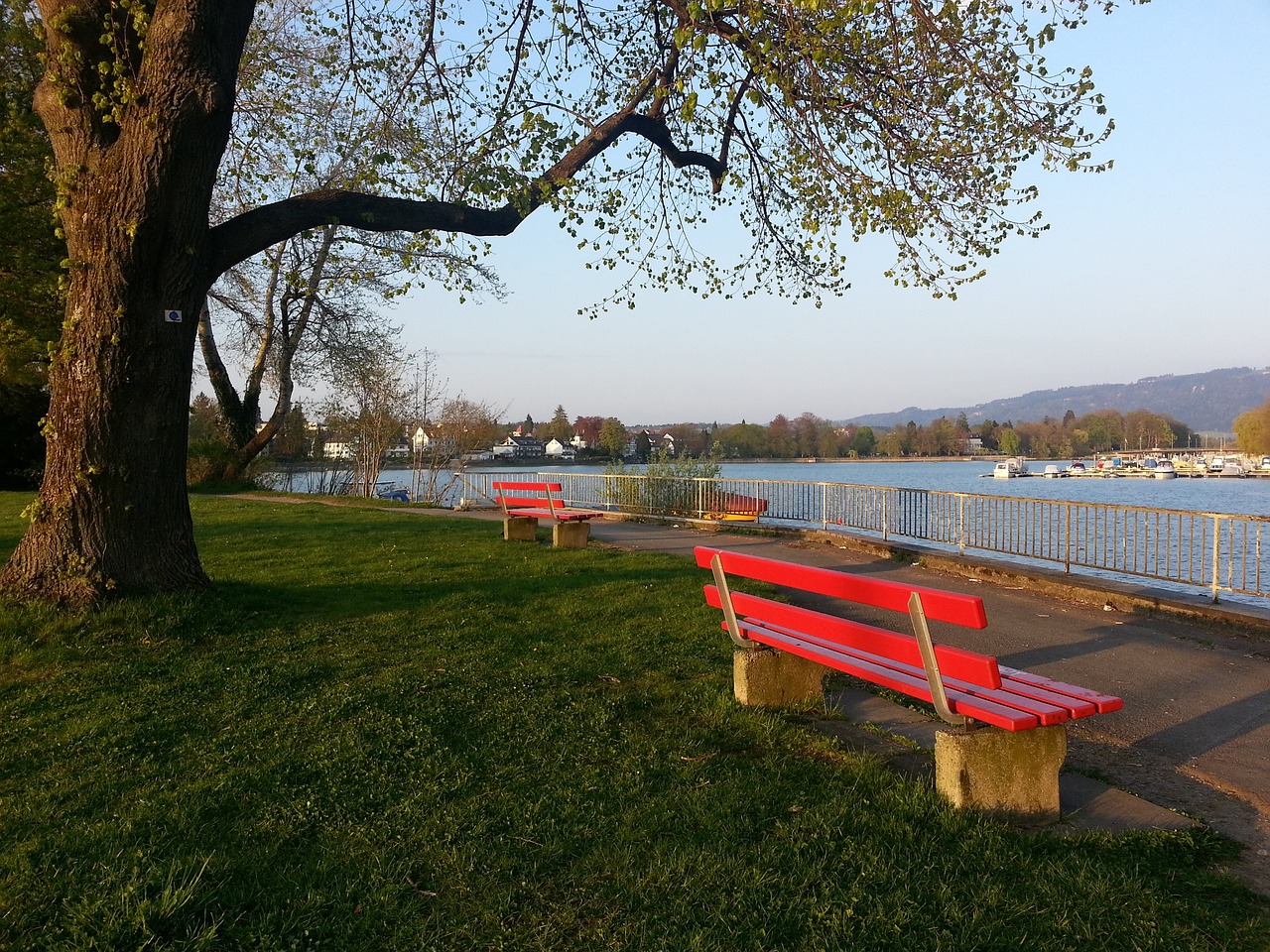 同时也为其 同时也为其