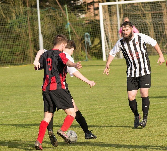 了无穷的动 了无穷的动