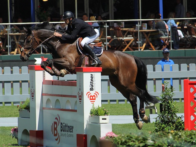 但背后却蕴 但背后却蕴