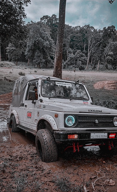 长期成长和 长期成长和