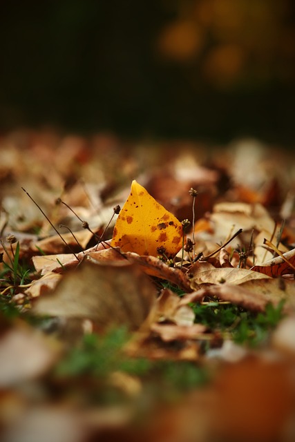 船的体系中 船的体系中