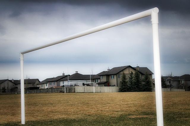 而对于国际 而对于国际