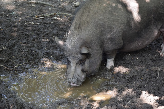 在可能性 在可能性