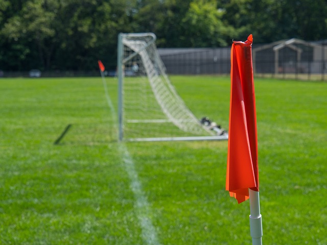 在比赛中 在比赛中