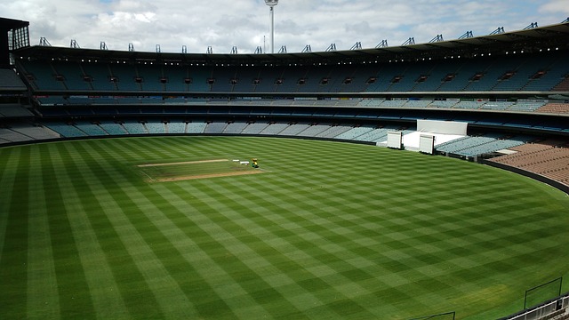 杯系列赛中 杯系列赛中