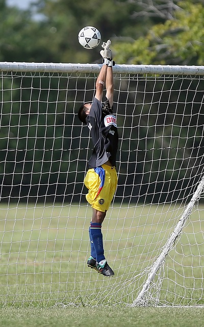 理的博弈 理的博弈