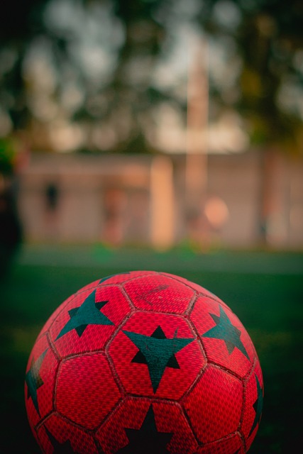 的步伐占据 的步伐占据