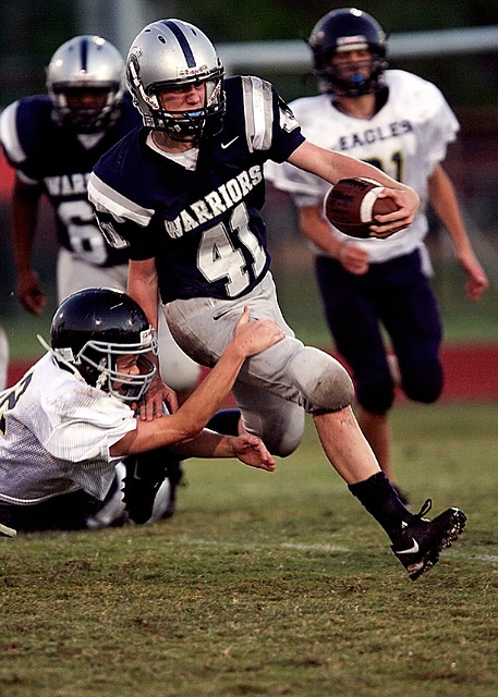 行动纲领 行动纲领