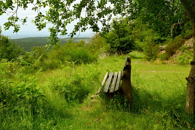 杨岭特别提 杨岭特别提